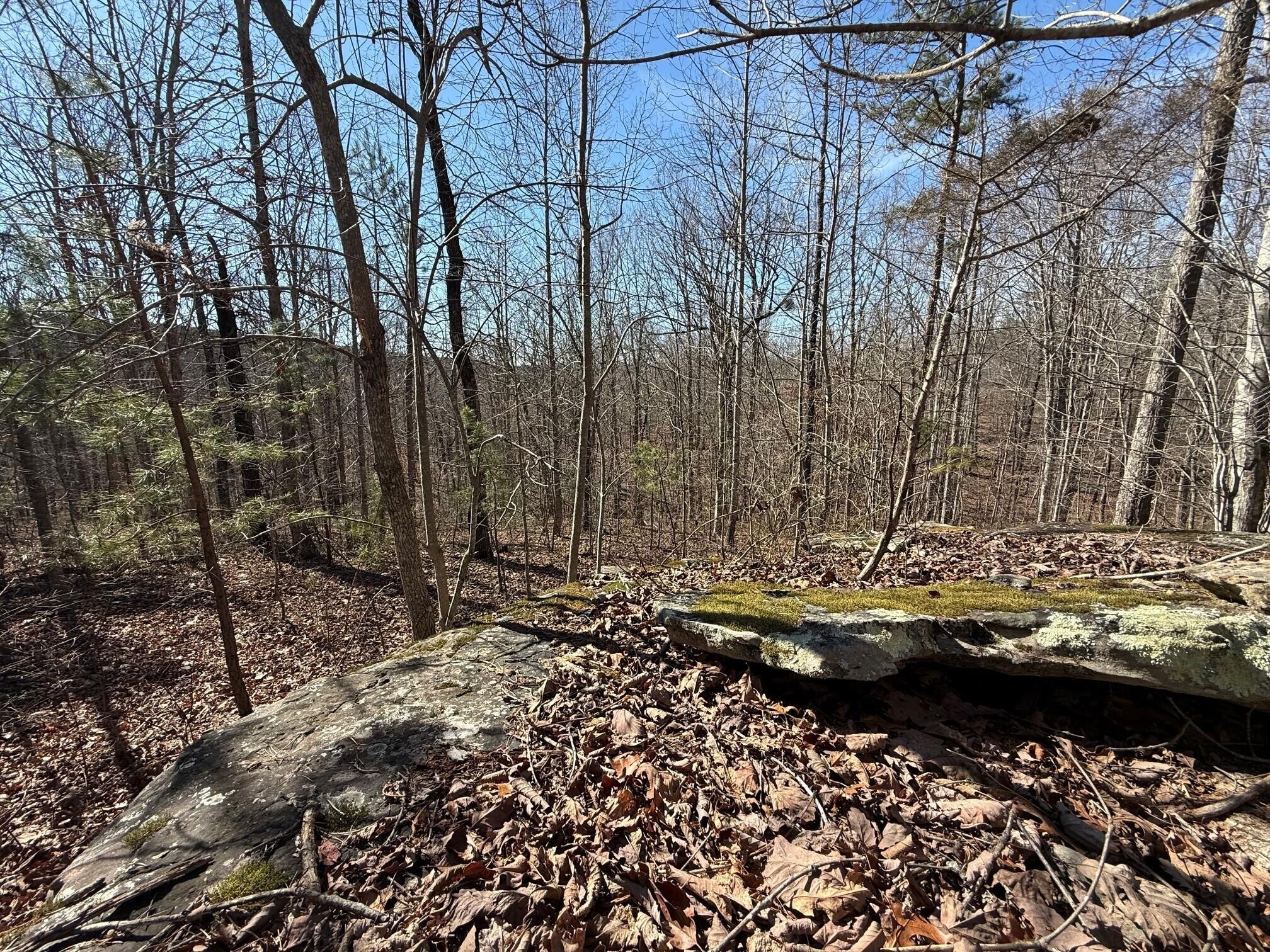 2 South Pittsburg Mtn Road South Pittsburg TN 37380