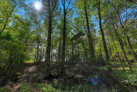 0 Liberty Road Sparta TN 38583