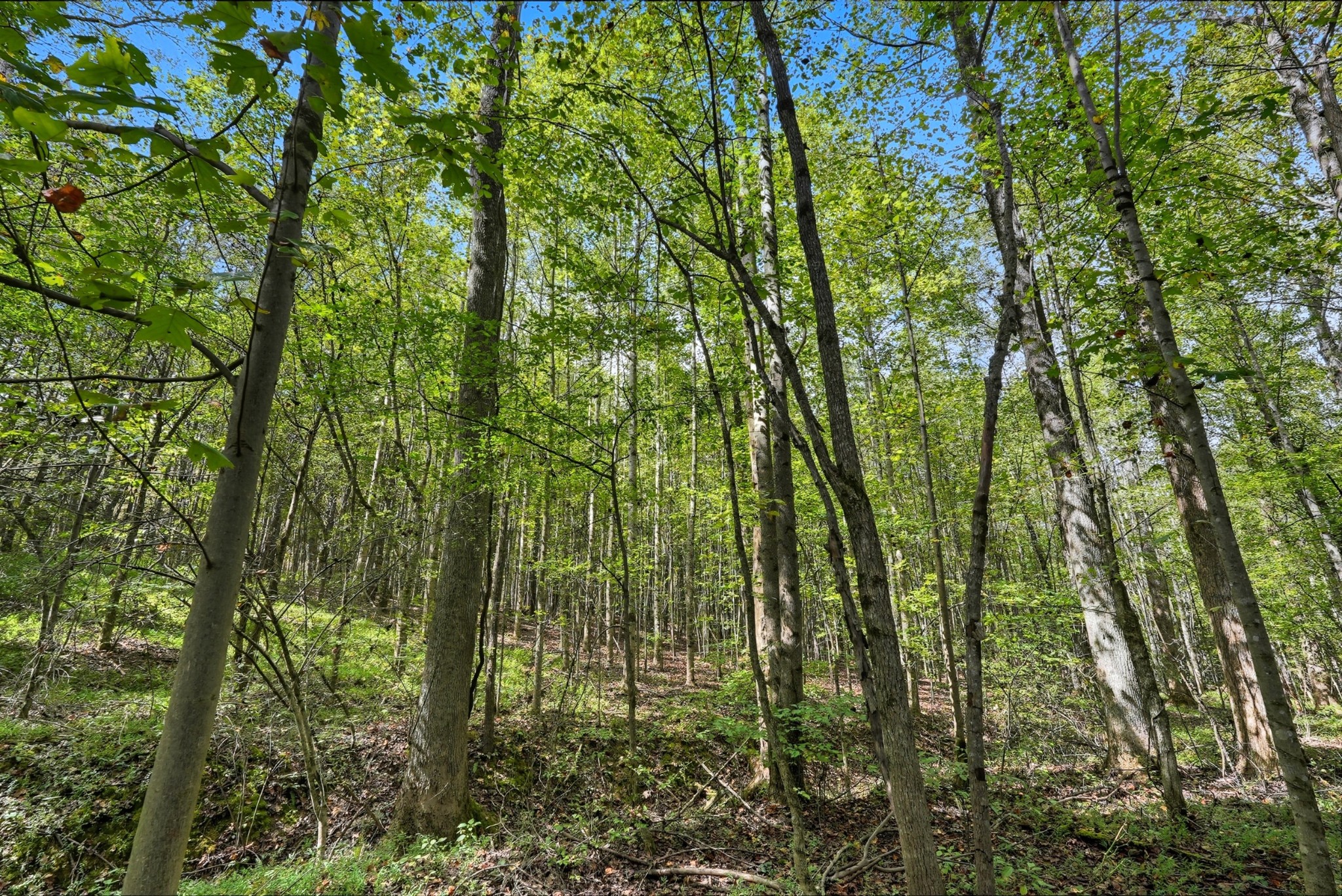 0 Liberty Road Sparta TN 38583