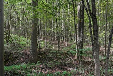 0 Liberty Road Sparta TN 38583