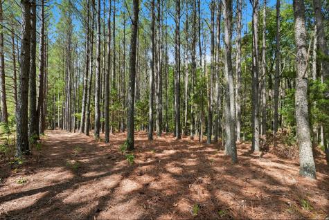 0 Liberty Road Sparta TN 38583