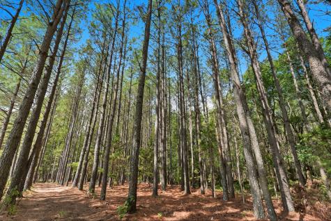 0 Liberty Road Sparta TN 38583