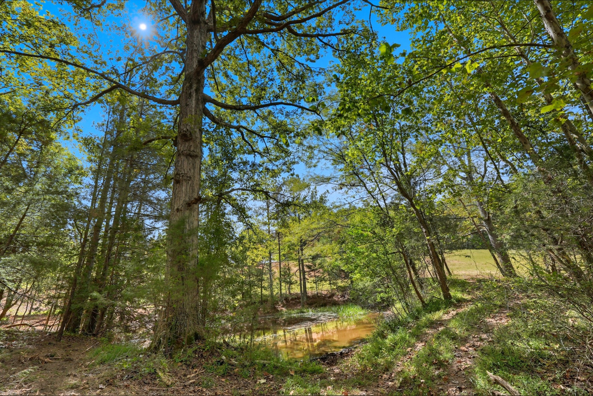 0 Liberty Road Sparta TN 38583