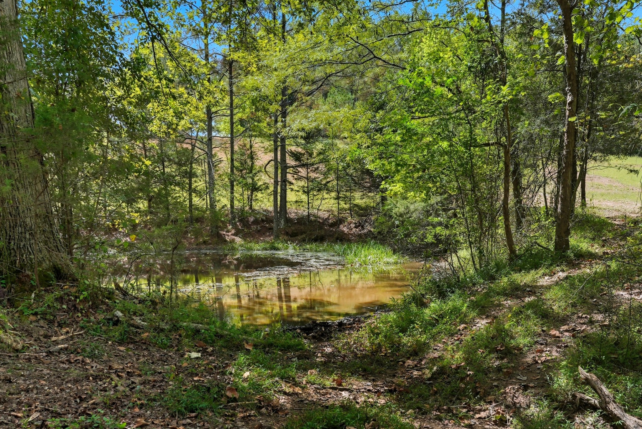 0 Liberty Road Sparta TN 38583