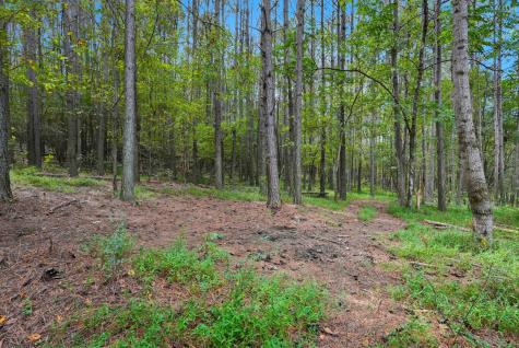 0 Liberty Road Sparta TN 38583