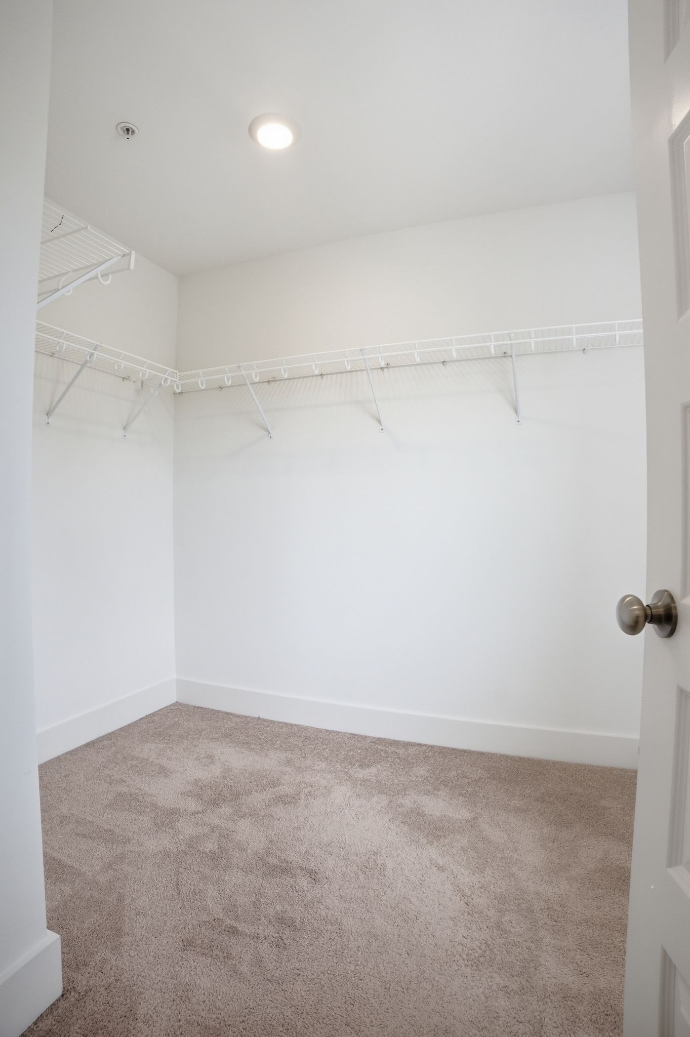 203 Southmen Lane Spring Hill TN 37174
