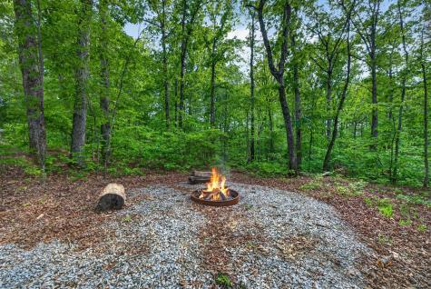 1030 Johnson Hollow Road Mc Ewen TN 37101