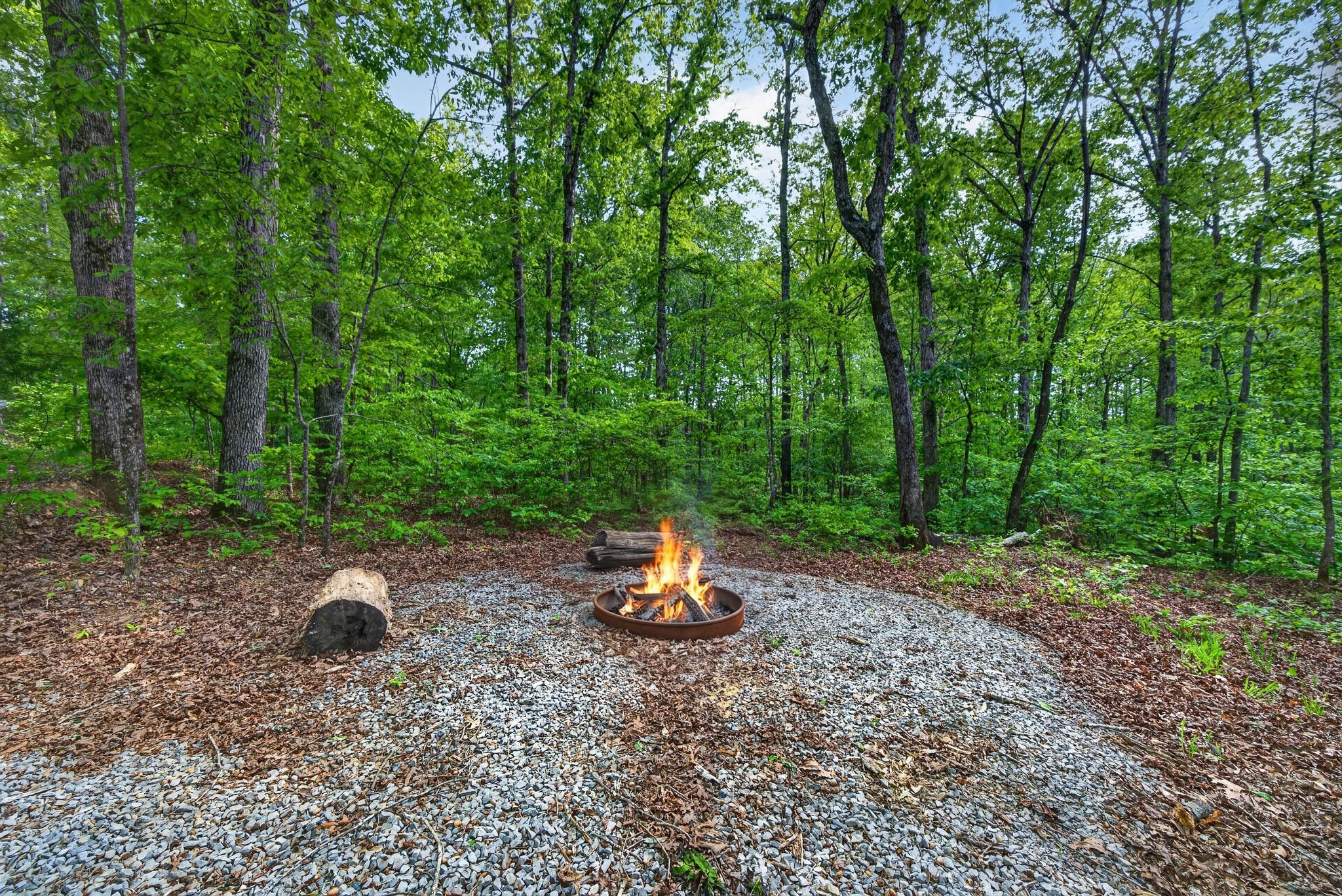 1030 Johnson Hollow Road Mc Ewen TN 37101