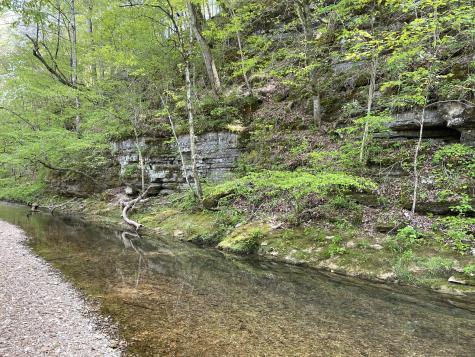 1030 Johnson Hollow Road Mc Ewen TN 37101