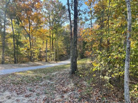 1030 Johnson Hollow Road Mc Ewen TN 37101