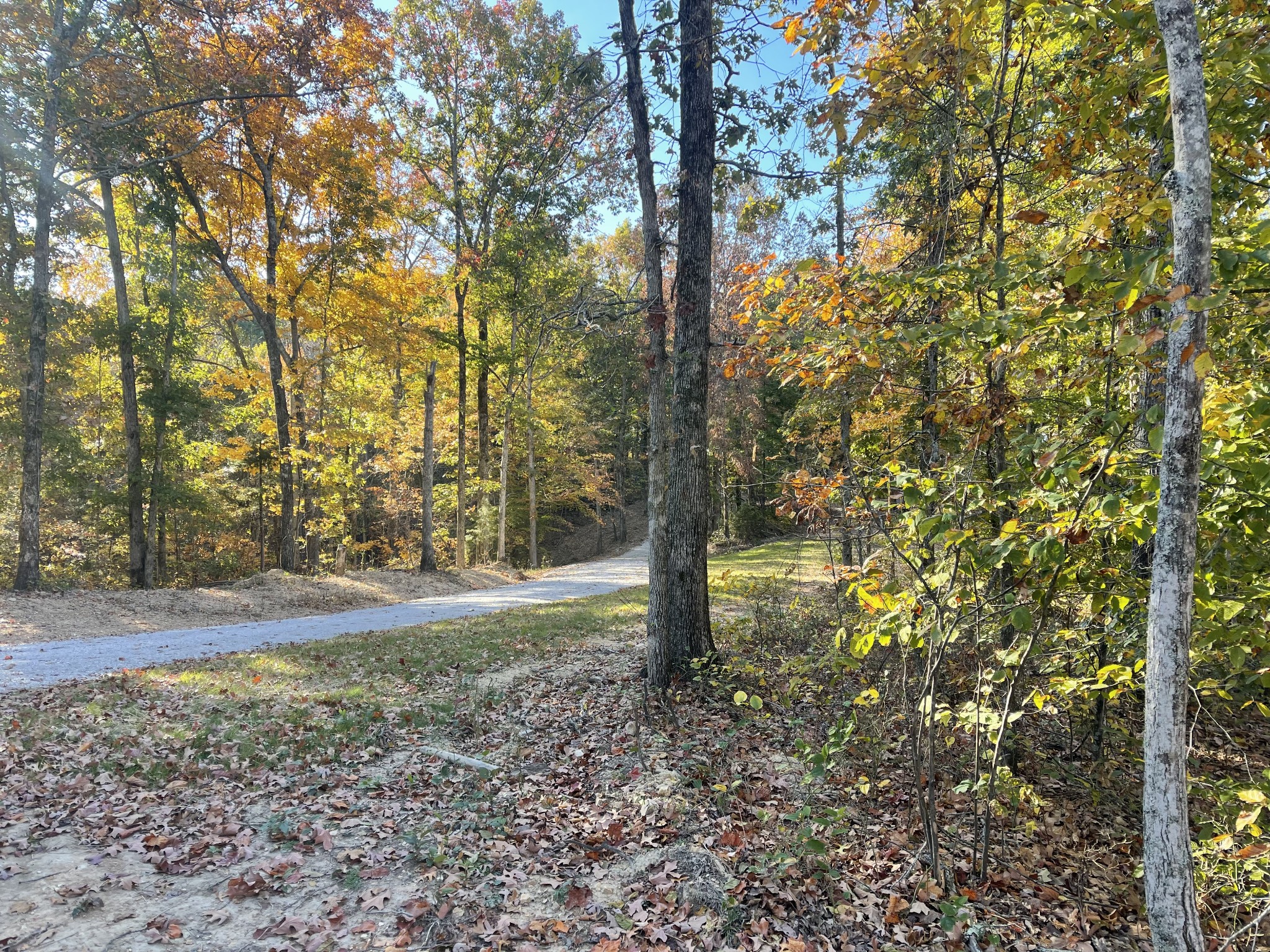 1030 Johnson Hollow Road Mc Ewen TN 37101
