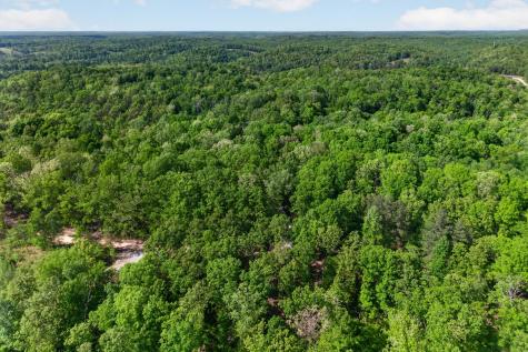 1030 Johnson Hollow Road Mc Ewen TN 37101