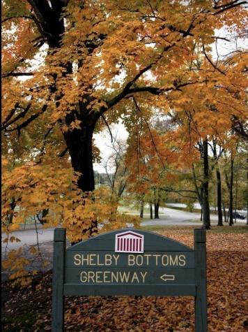 118 Colbert Way Nashville TN 37206