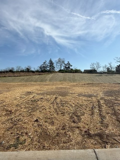 6193 Binns Lane Hermitage TN 37076