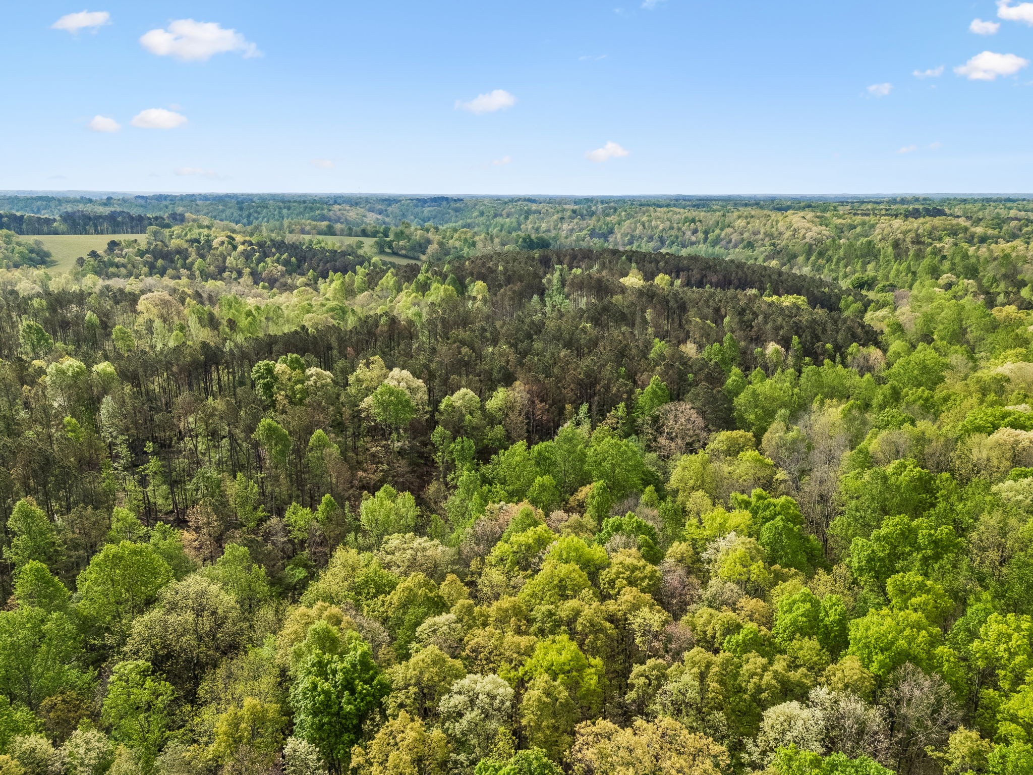 1 Pleasant Ridge Road Goodspring TN 38460