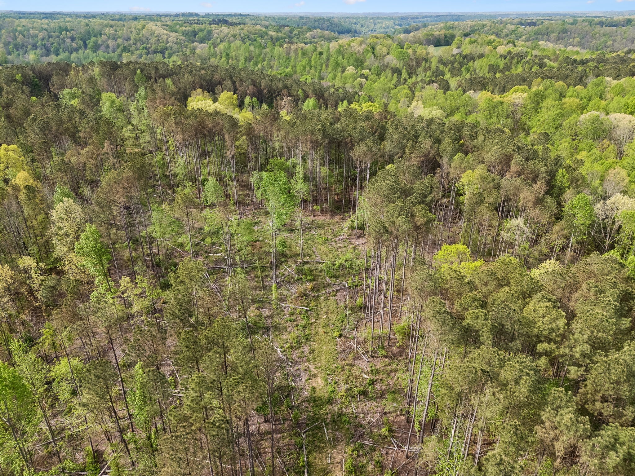 1 Pleasant Ridge Road Goodspring TN 38460