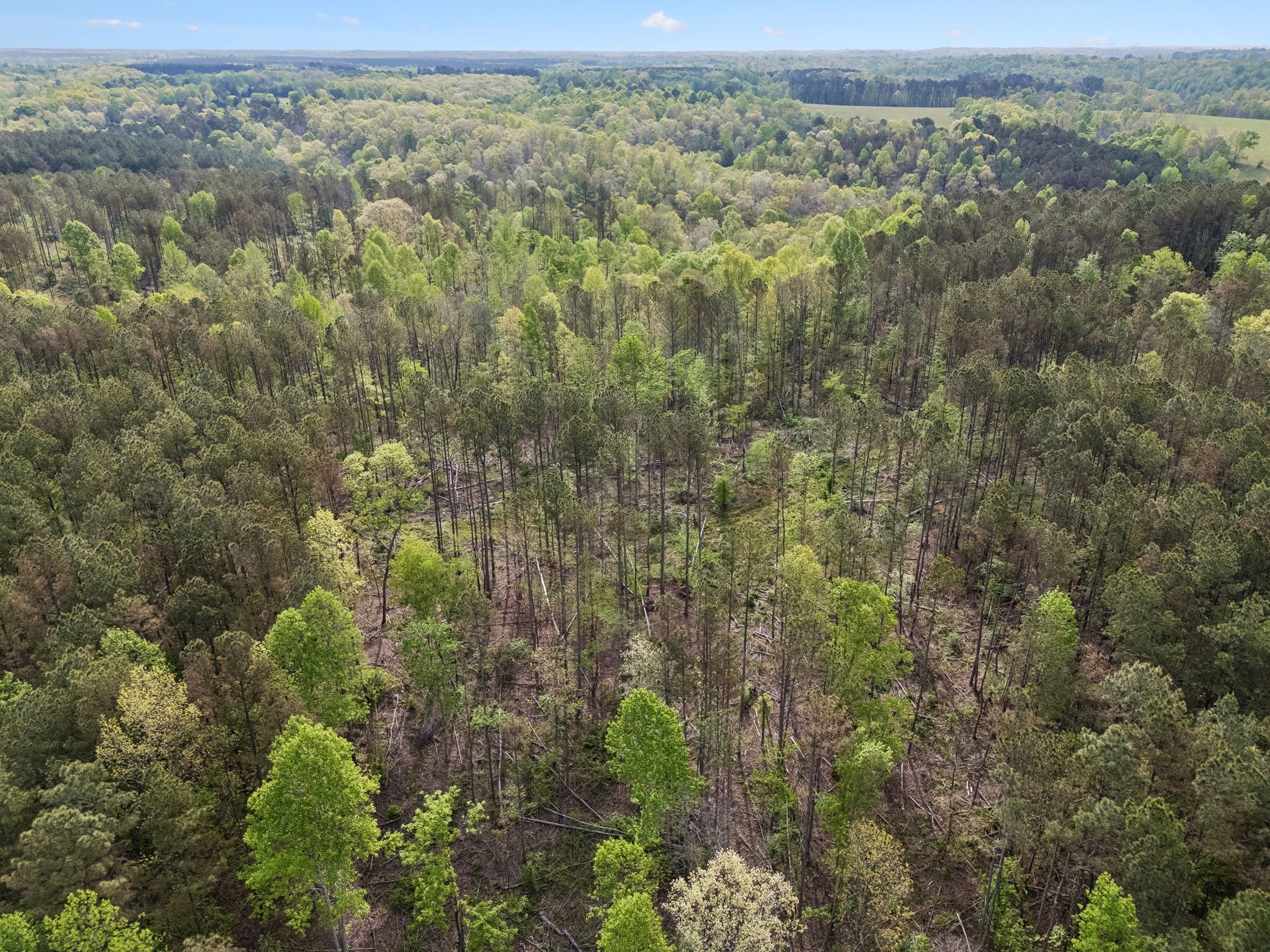 1 Pleasant Ridge Road Goodspring TN 38460