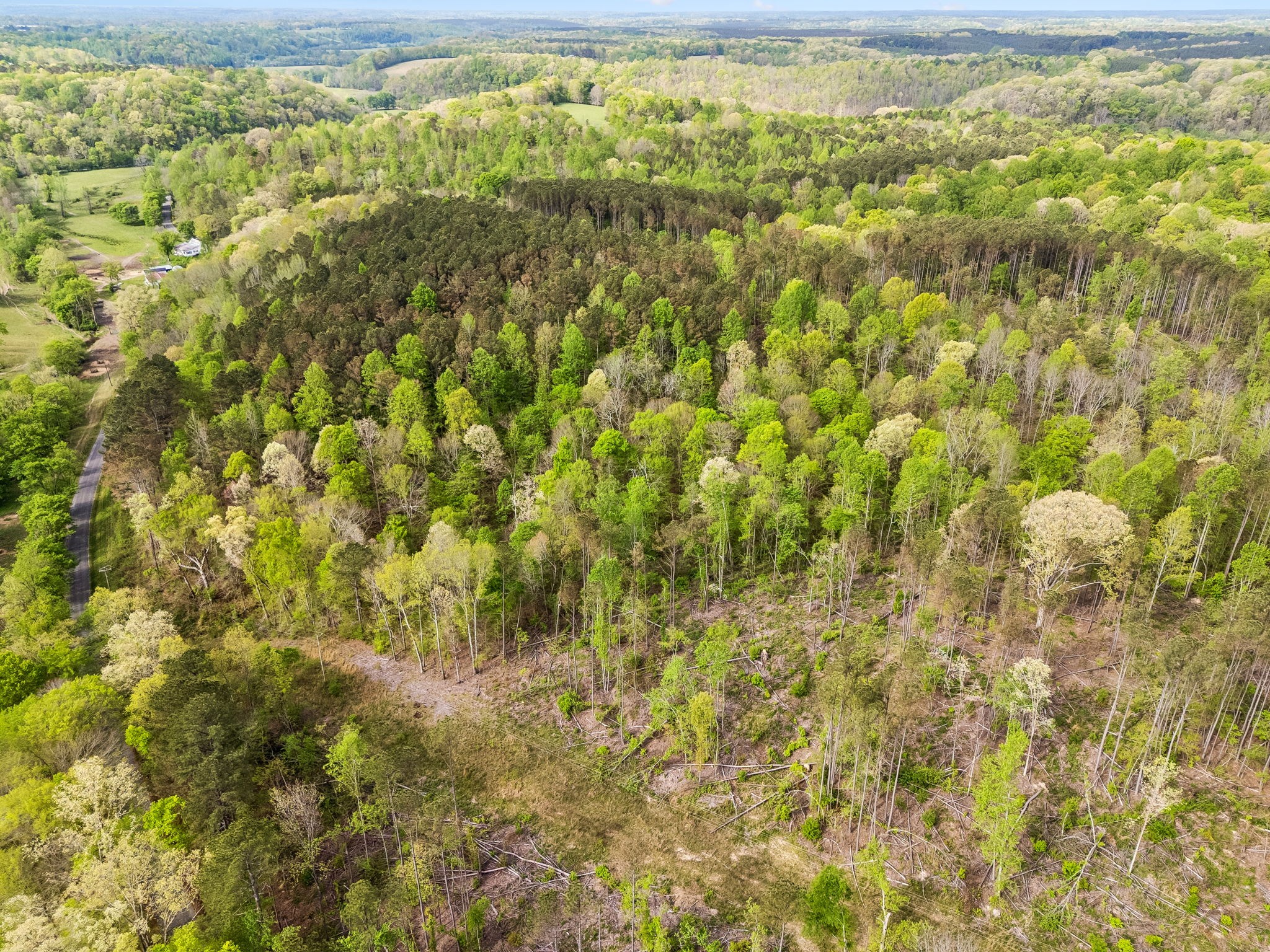 1 Pleasant Ridge Road Goodspring TN 38460