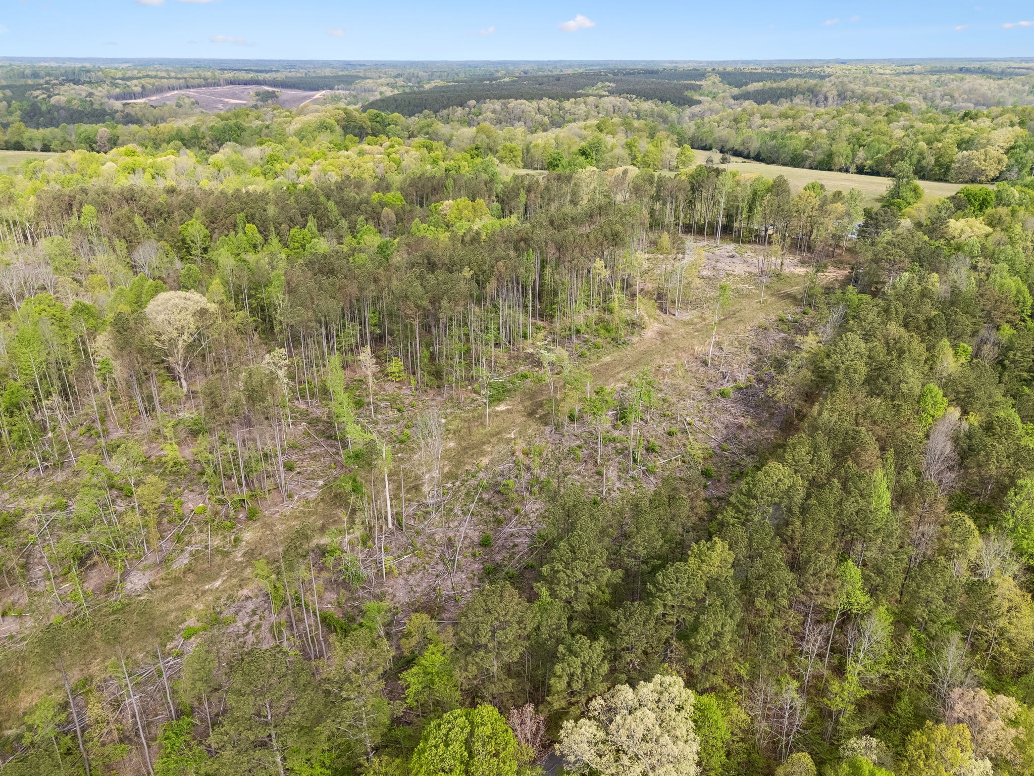 1 Pleasant Ridge Road Goodspring TN 38460