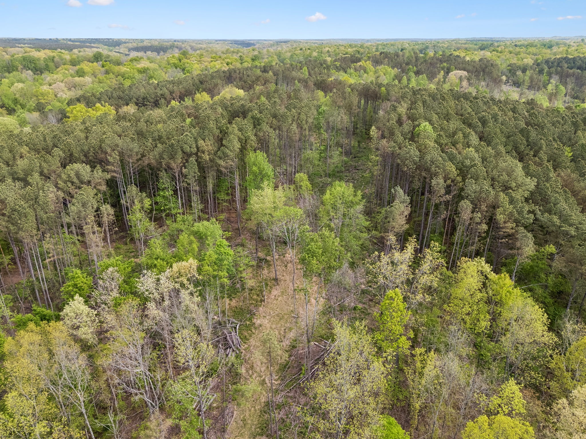 1 Pleasant Ridge Road Goodspring TN 38460