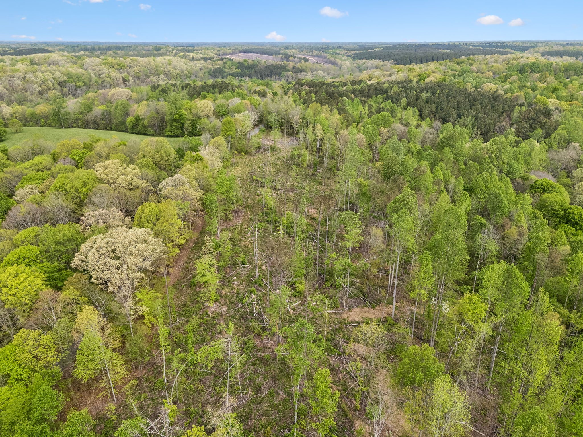 1 Pleasant Ridge Road Goodspring TN 38460