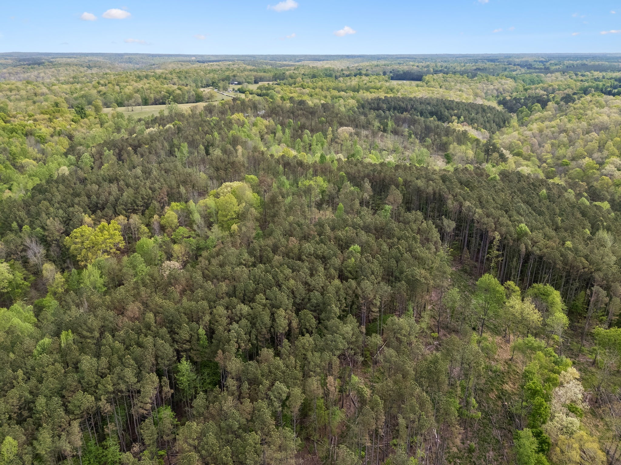 1 Pleasant Ridge Road Goodspring TN 38460