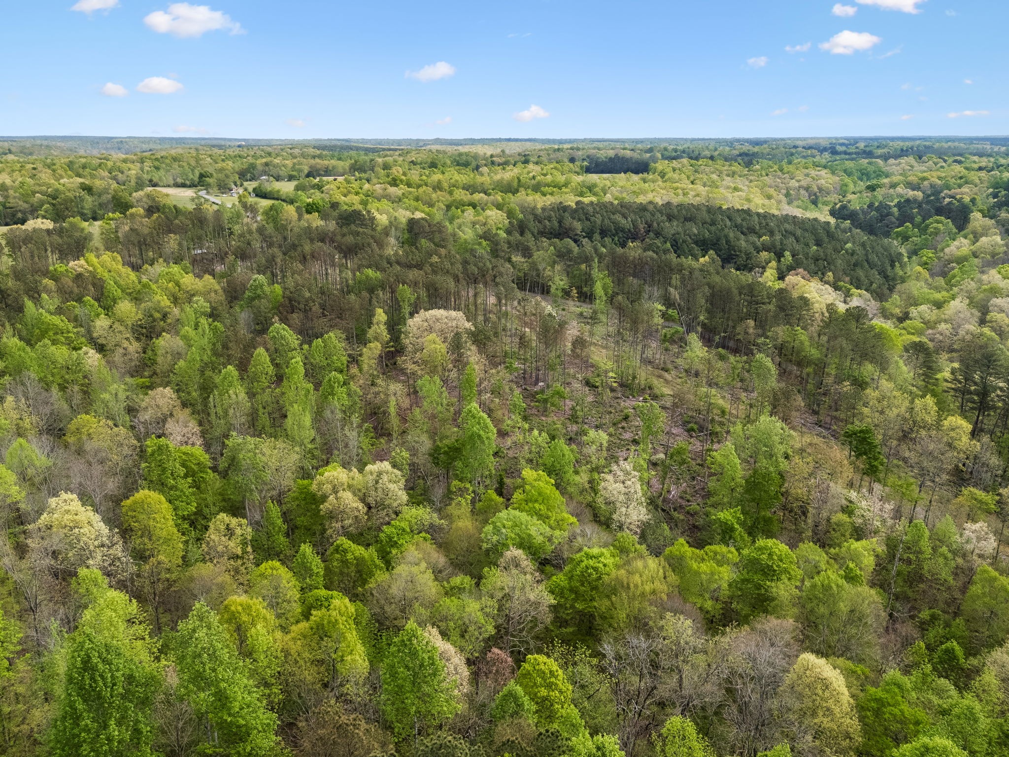 1 Pleasant Ridge Road Goodspring TN 38460