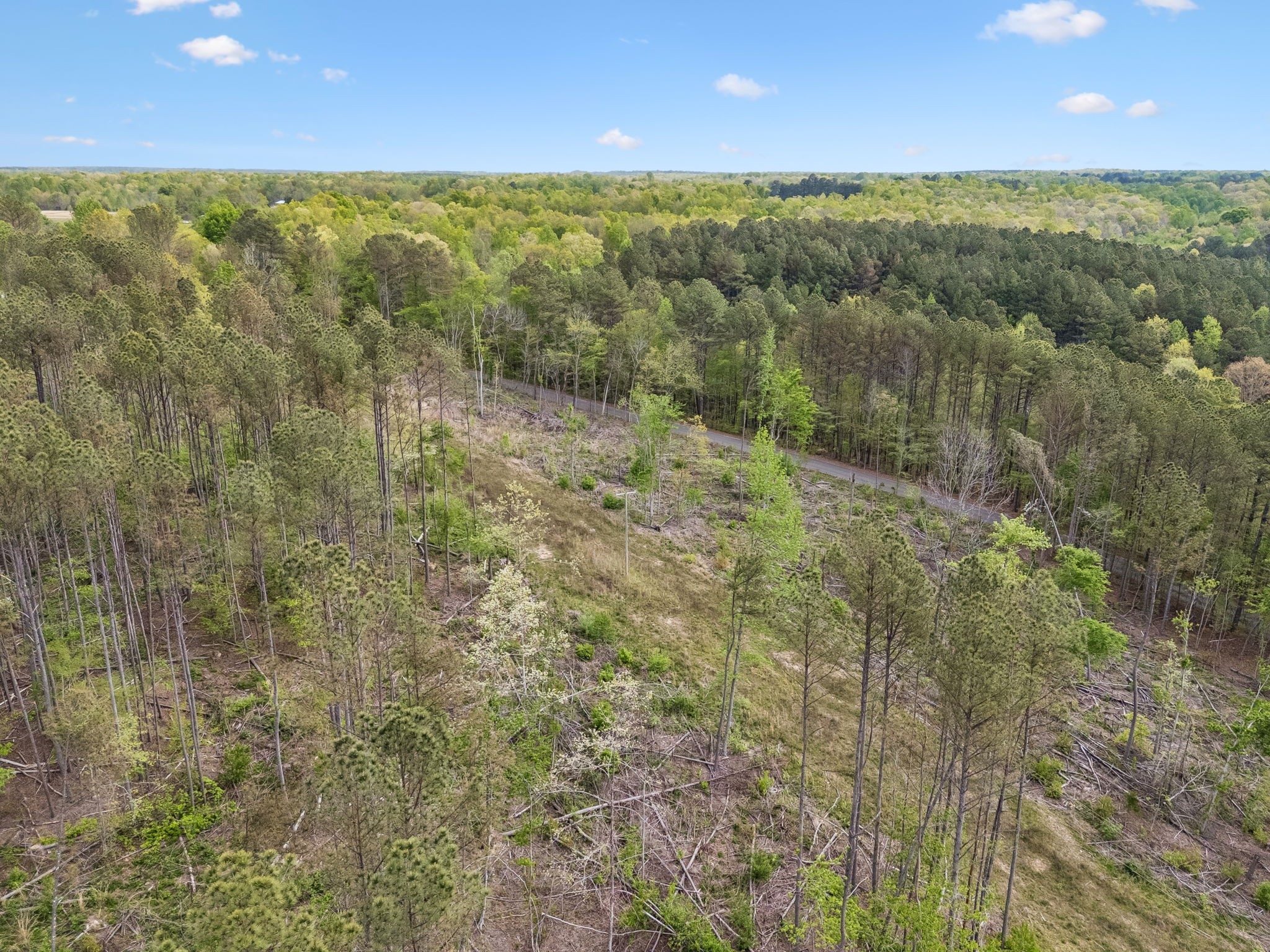 1 Pleasant Ridge Road Goodspring TN 38460