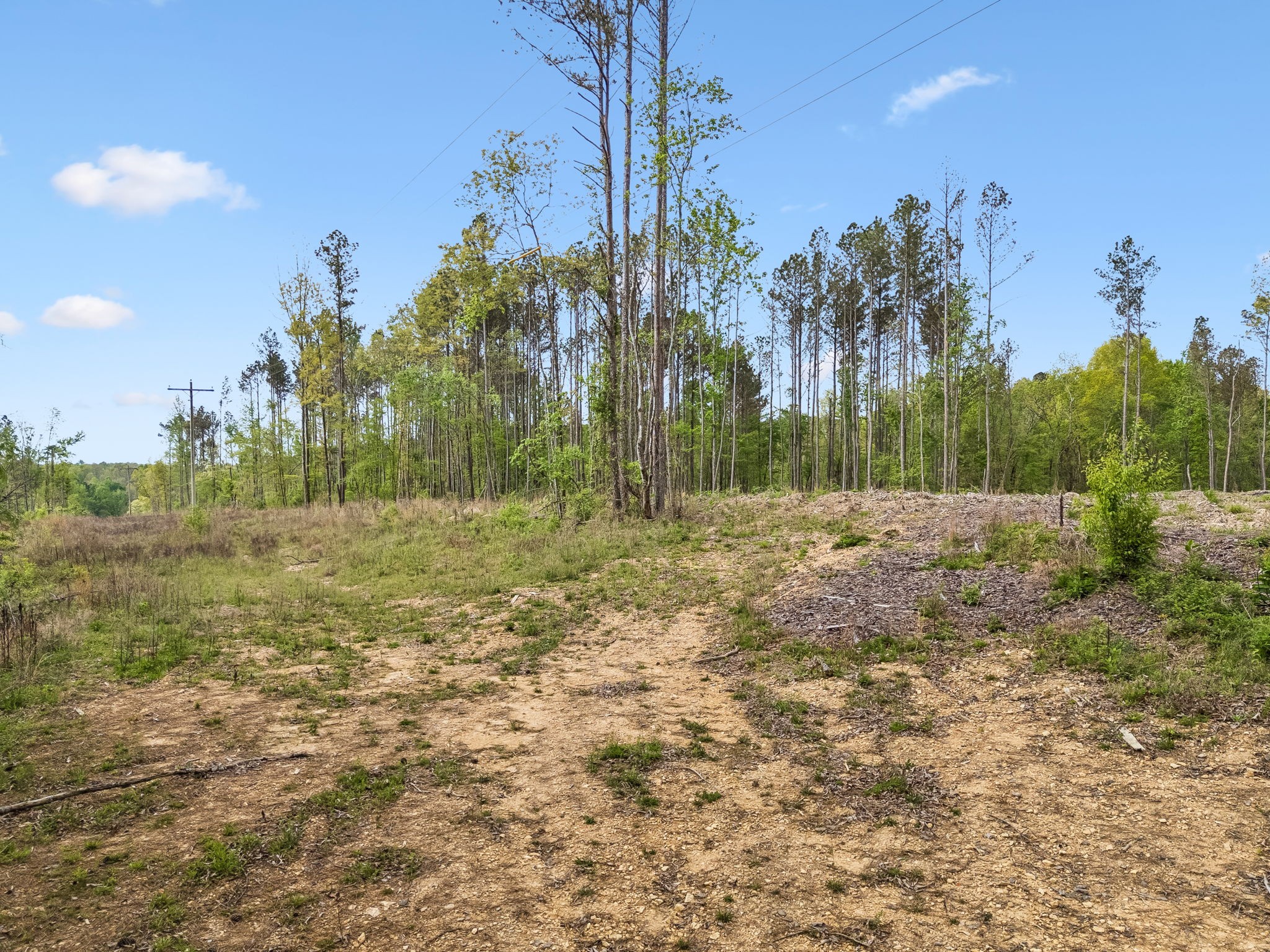 1 Pleasant Ridge Road Goodspring TN 38460