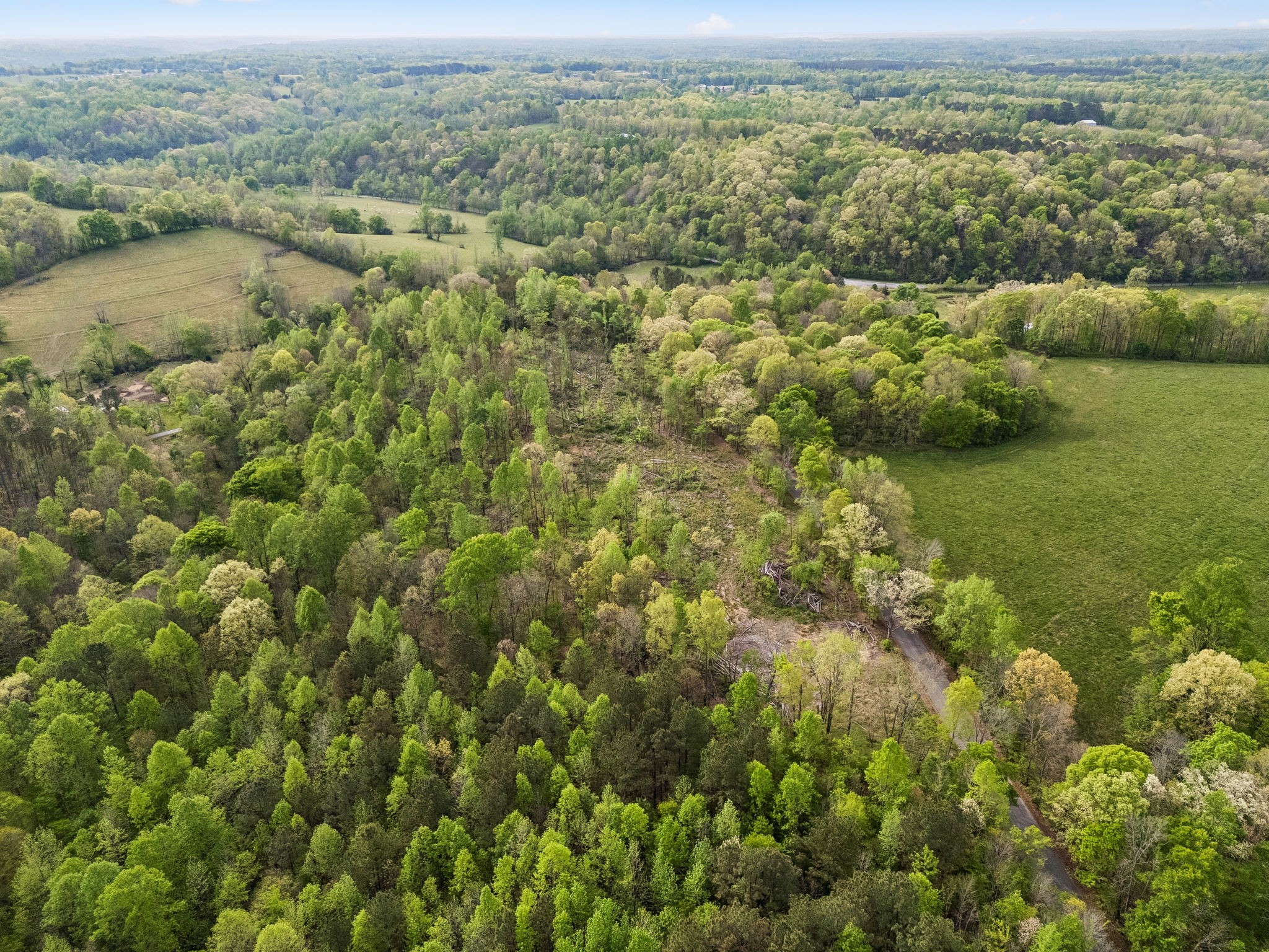 1 Pleasant Ridge Road Goodspring TN 38460