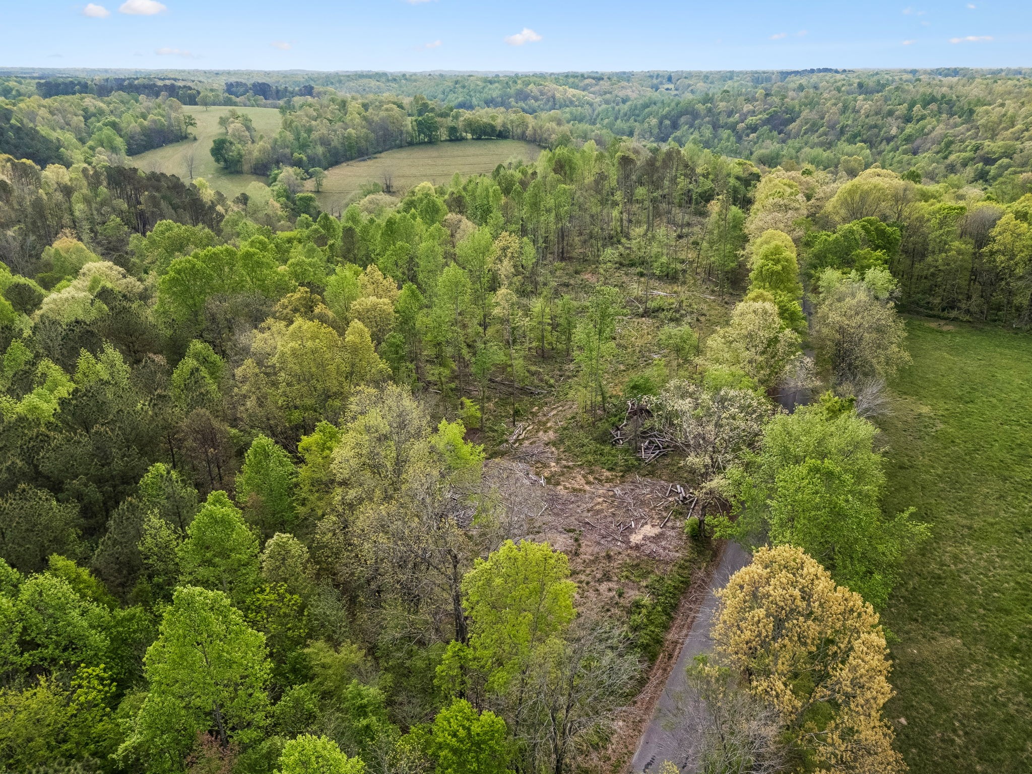 1 Pleasant Ridge Road Goodspring TN 38460