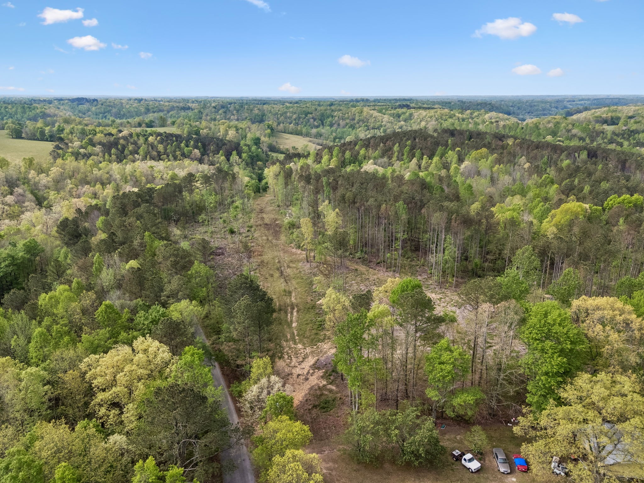 1 Pleasant Ridge Road Goodspring TN 38460