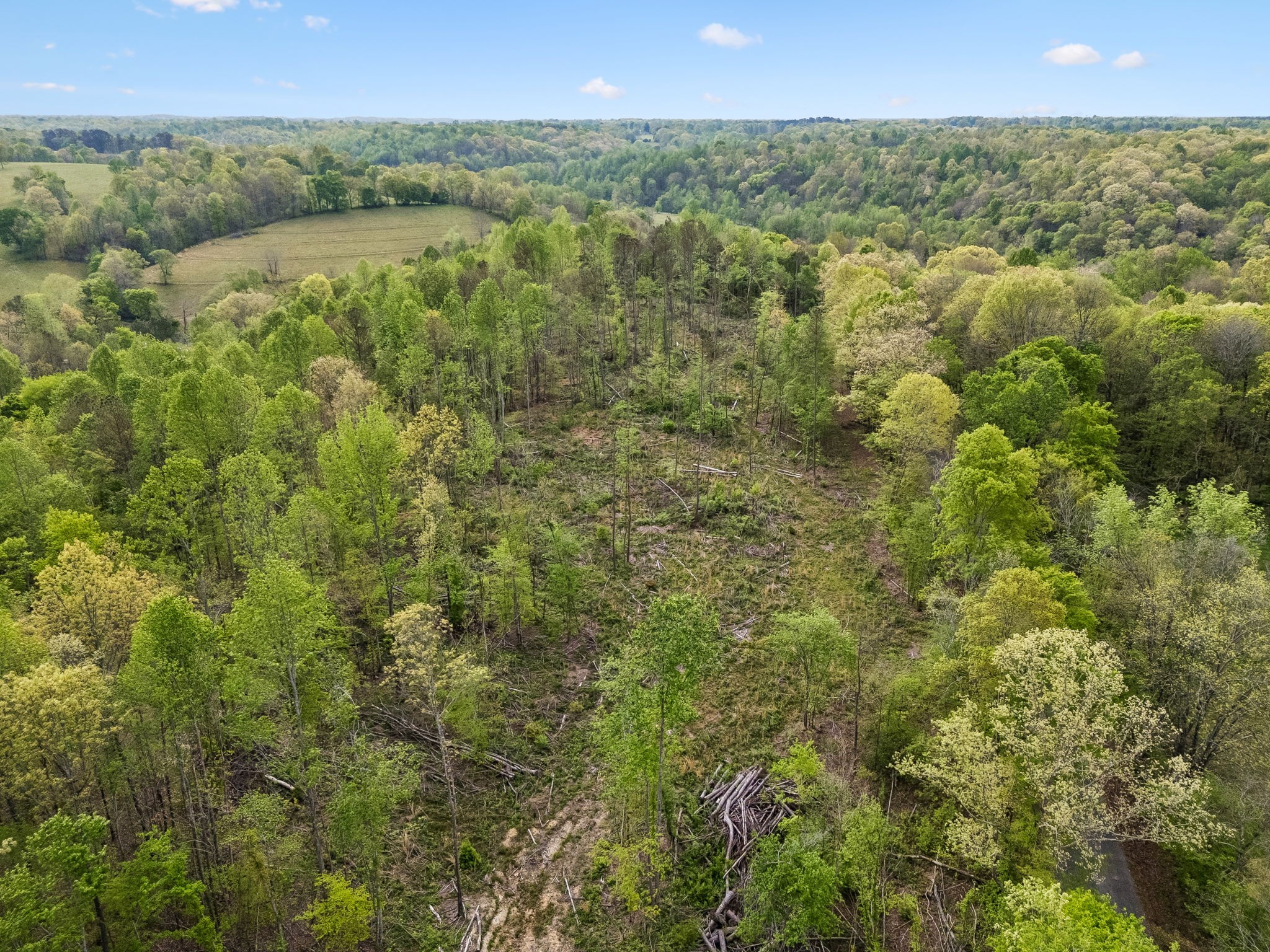 1 Pleasant Ridge Road Goodspring TN 38460