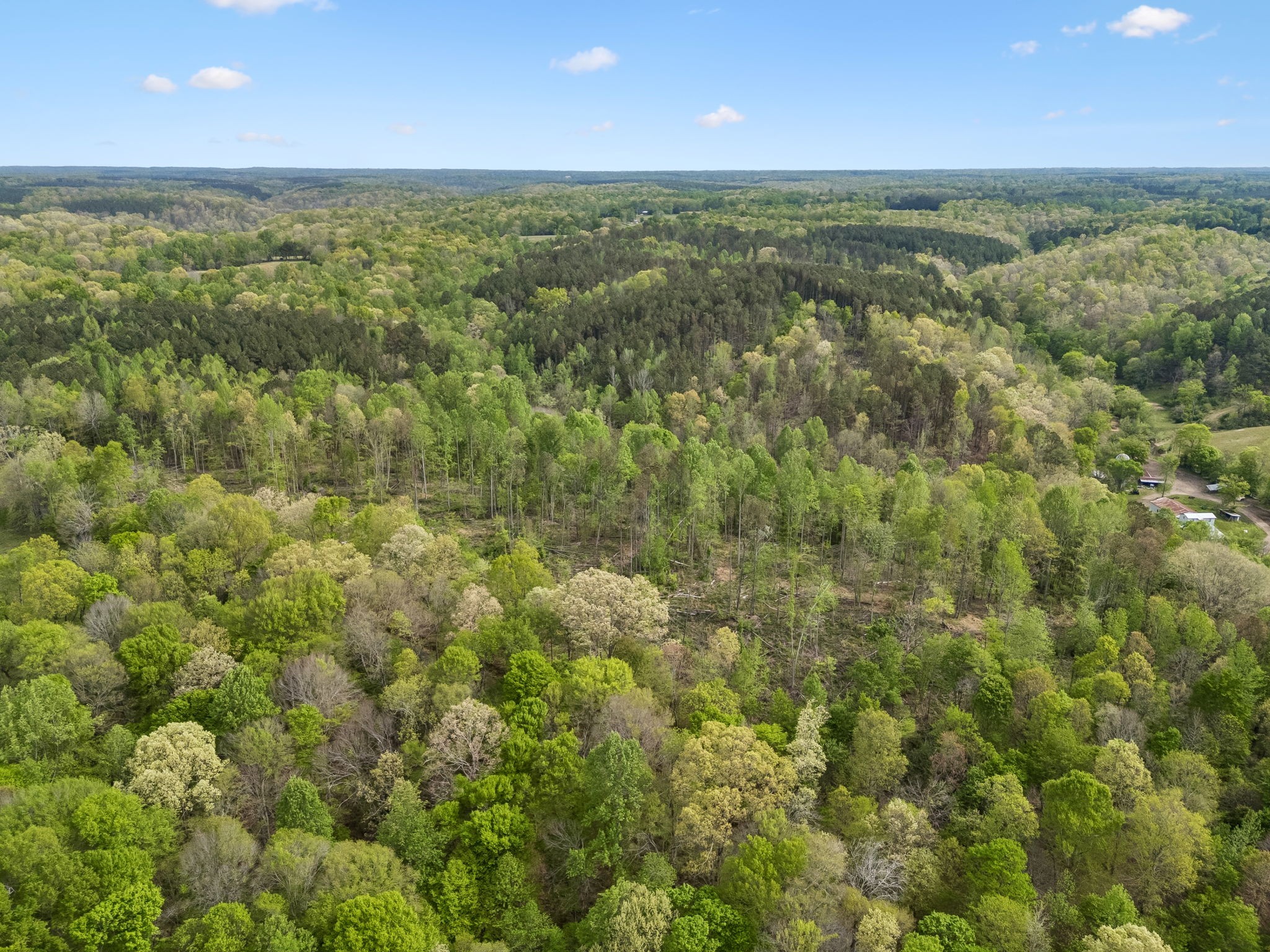 1 Pleasant Ridge Road Goodspring TN 38460