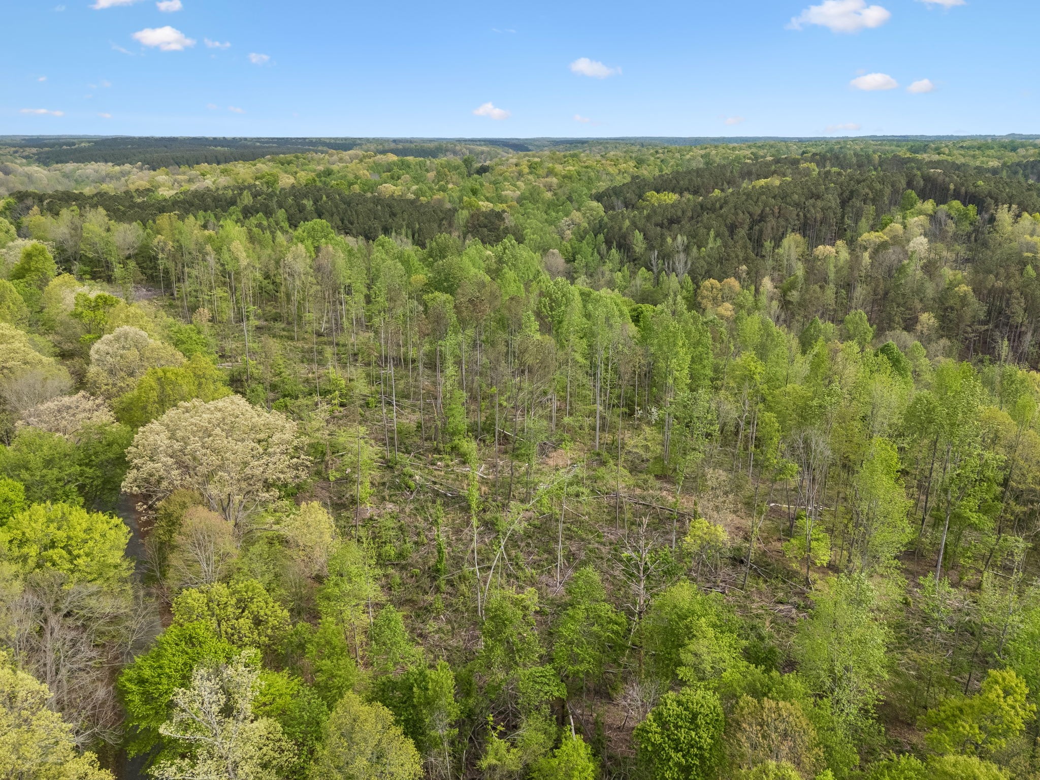1 Pleasant Ridge Road Goodspring TN 38460