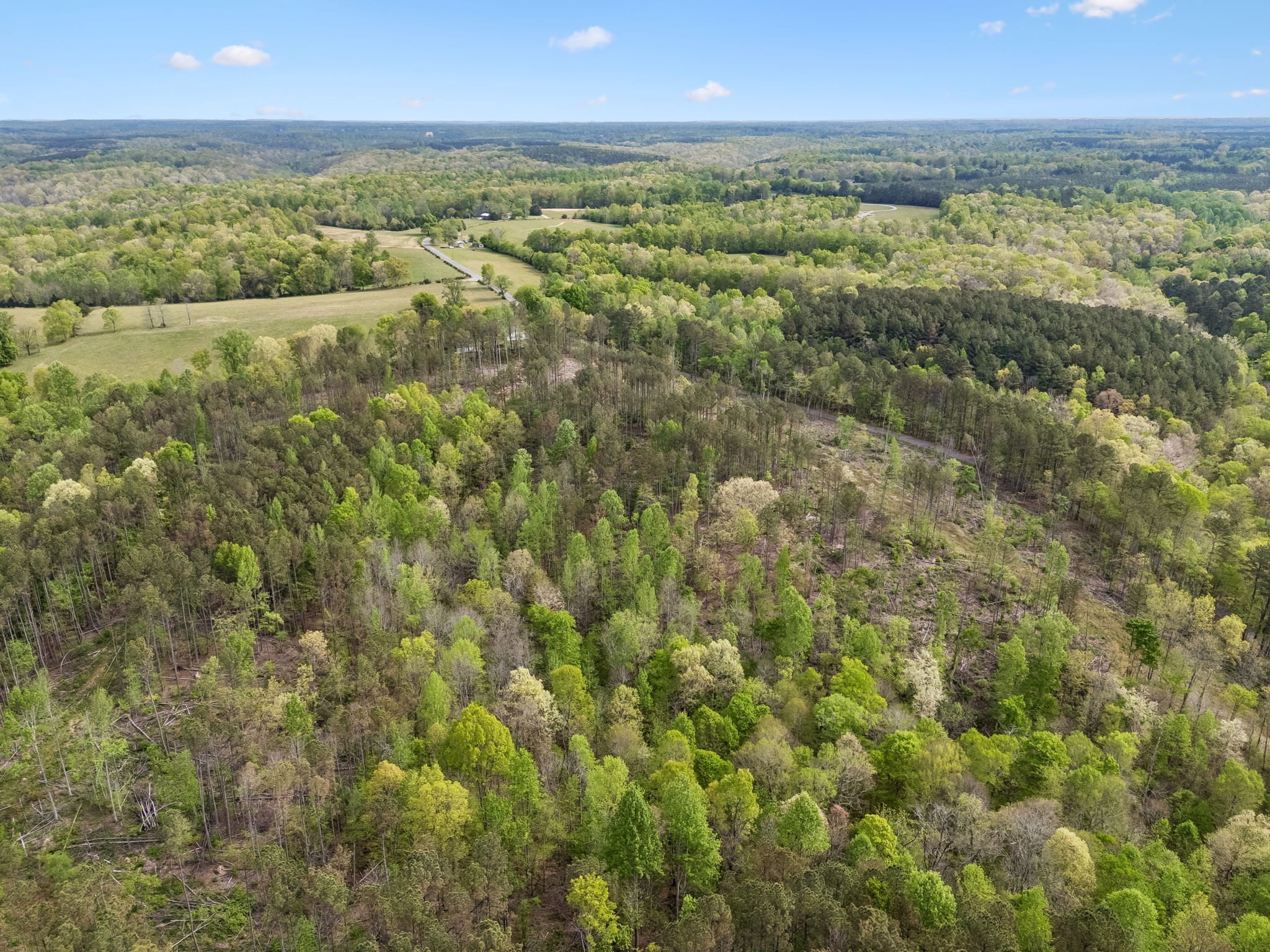 1 Pleasant Ridge Road Goodspring TN 38460
