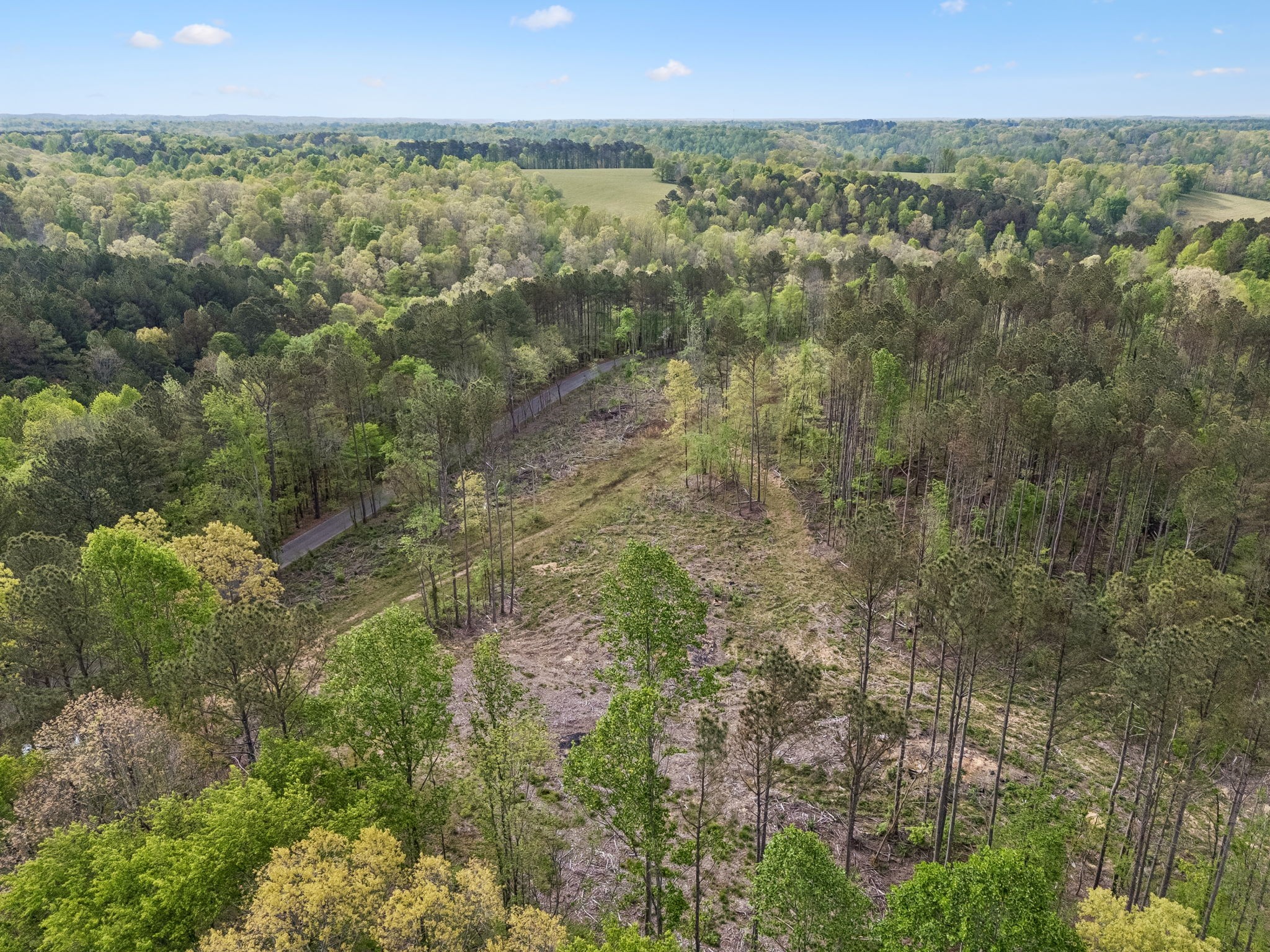 1 Pleasant Ridge Road Goodspring TN 38460