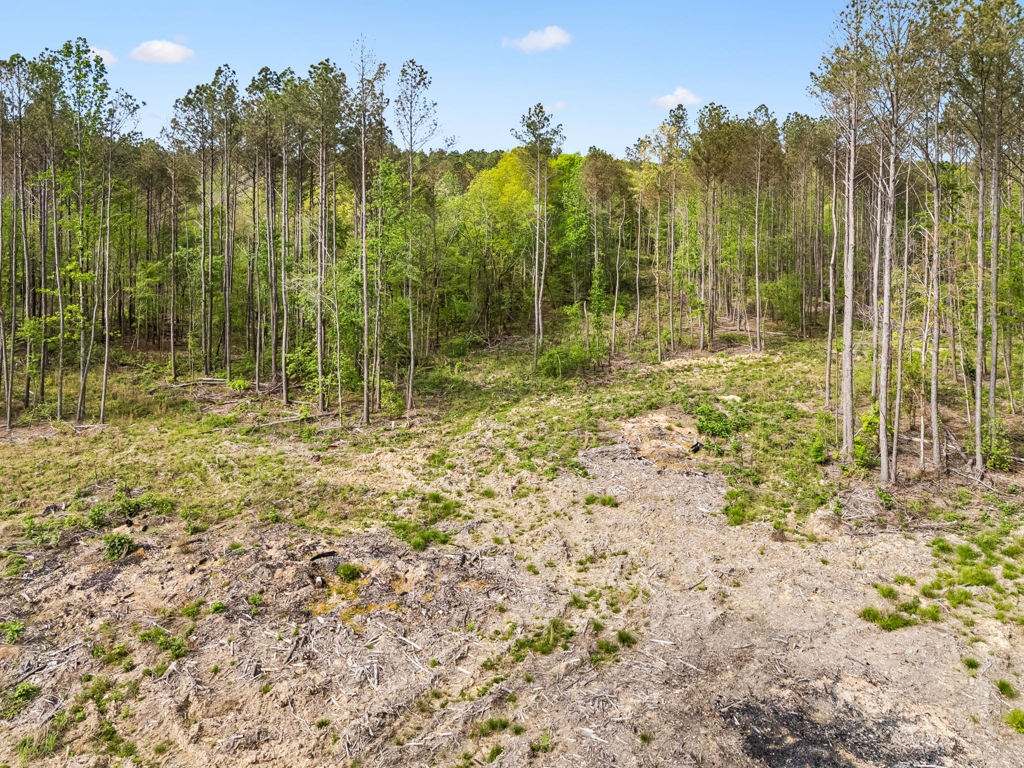1 Pleasant Ridge Road Goodspring TN 38460
