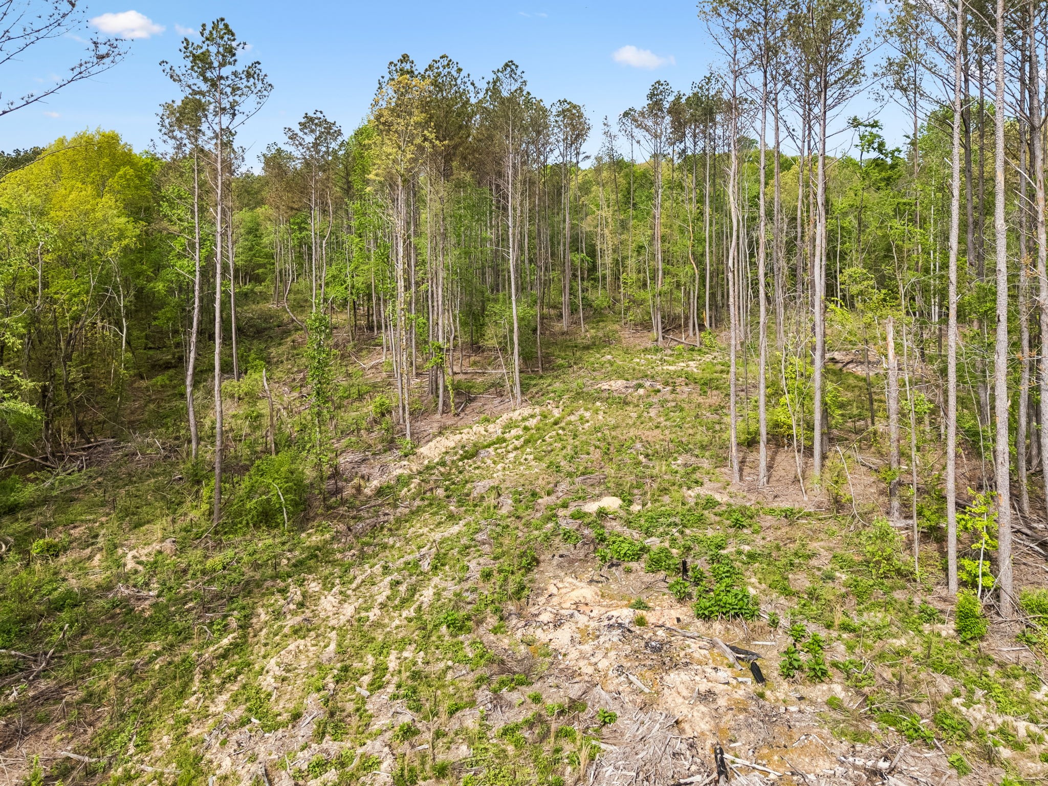 1 Pleasant Ridge Road Goodspring TN 38460