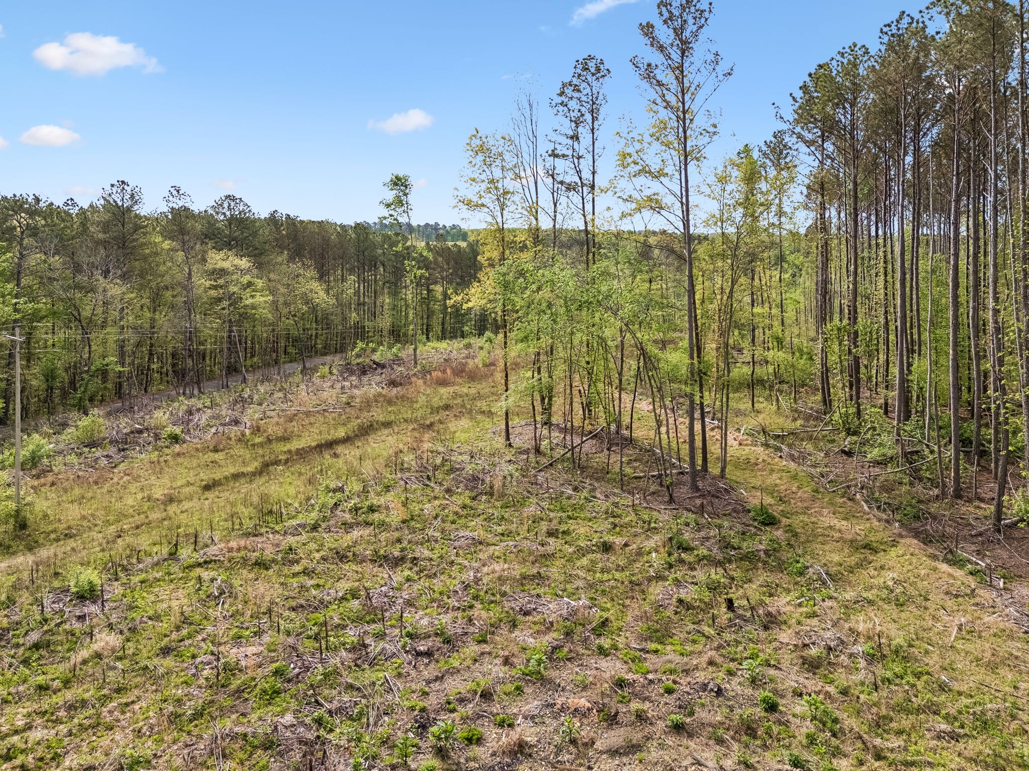 1 Pleasant Ridge Road Goodspring TN 38460