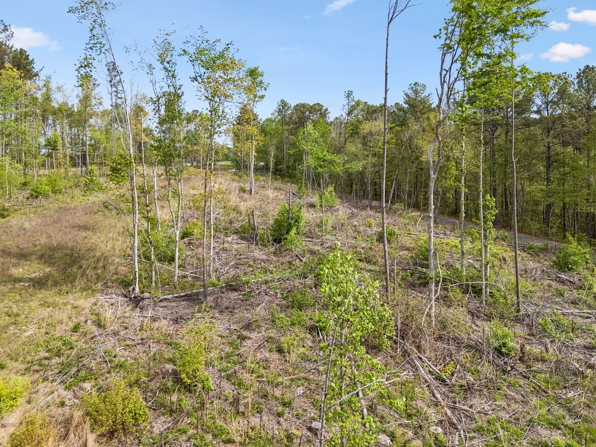 1 Pleasant Ridge Road Goodspring TN 38460