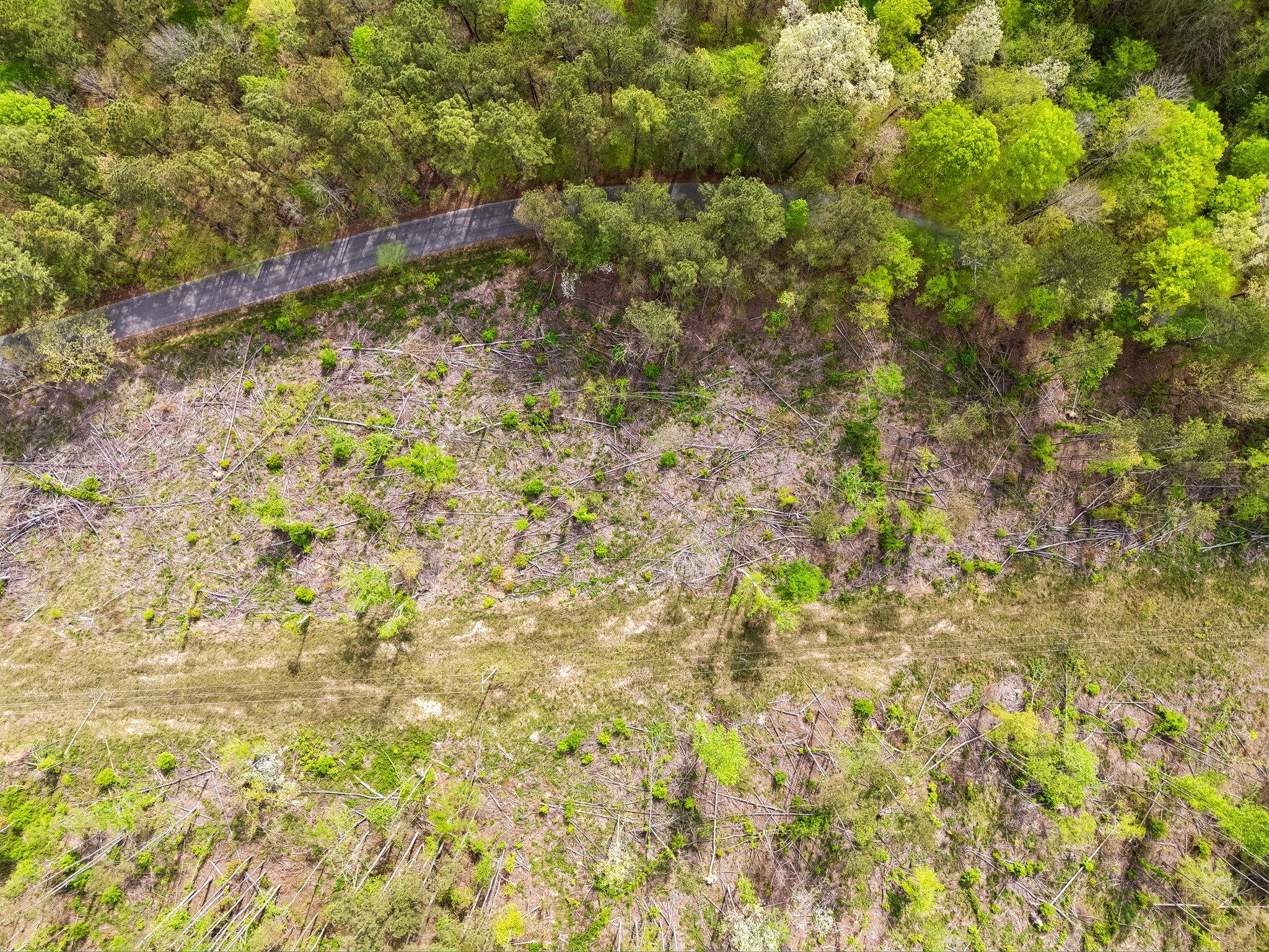 1 Pleasant Ridge Road Goodspring TN 38460