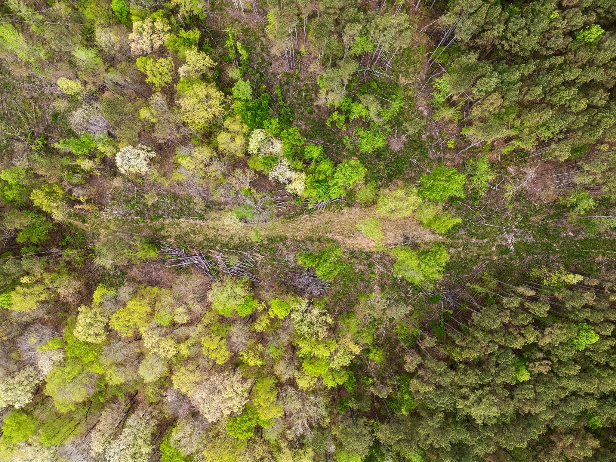 1 Pleasant Ridge Road Goodspring TN 38460