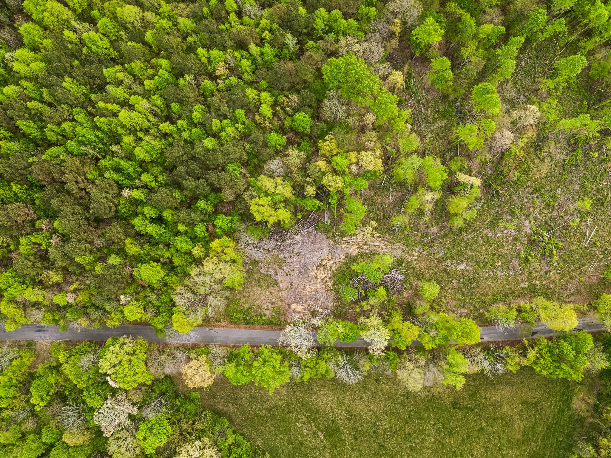 1 Pleasant Ridge Road Goodspring TN 38460