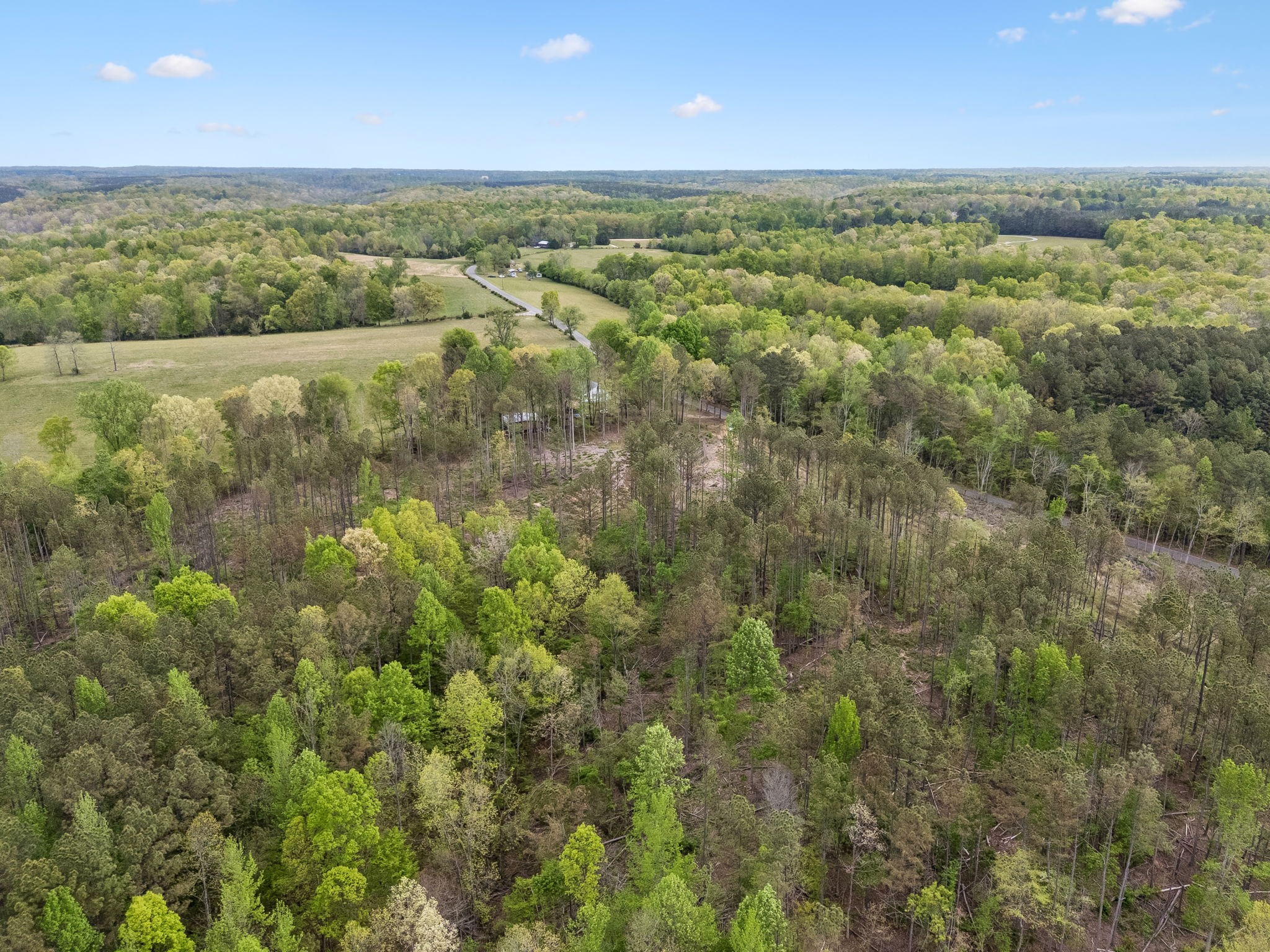 1 Pleasant Ridge Road Goodspring TN 38460