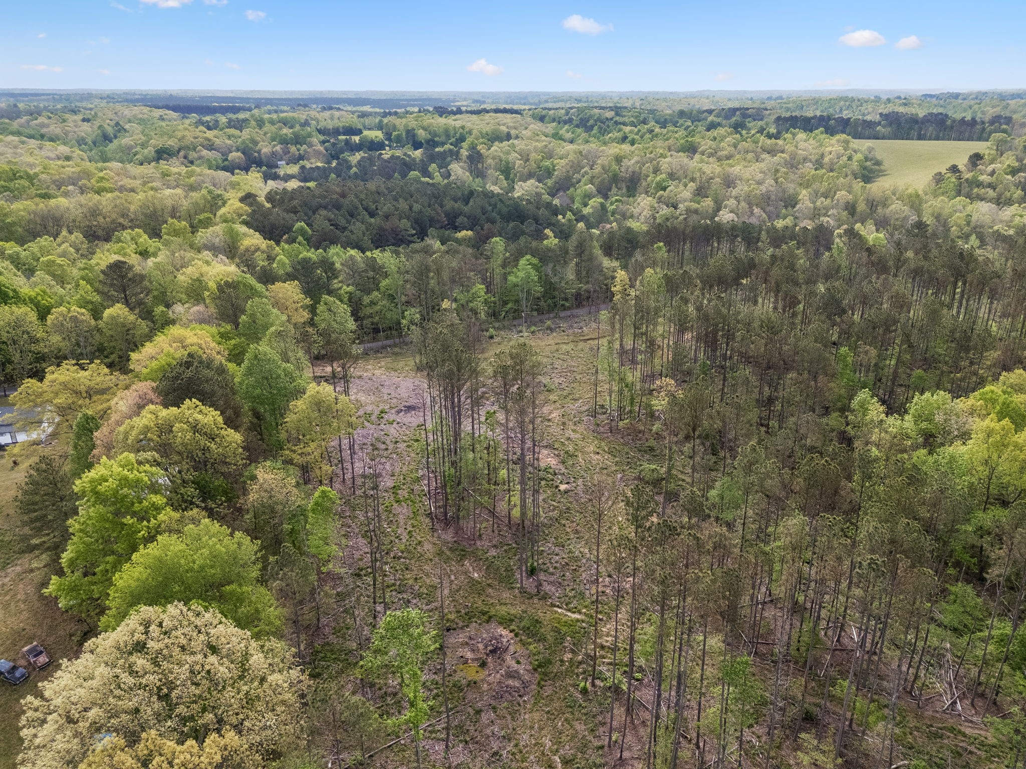 1 Pleasant Ridge Road Goodspring TN 38460