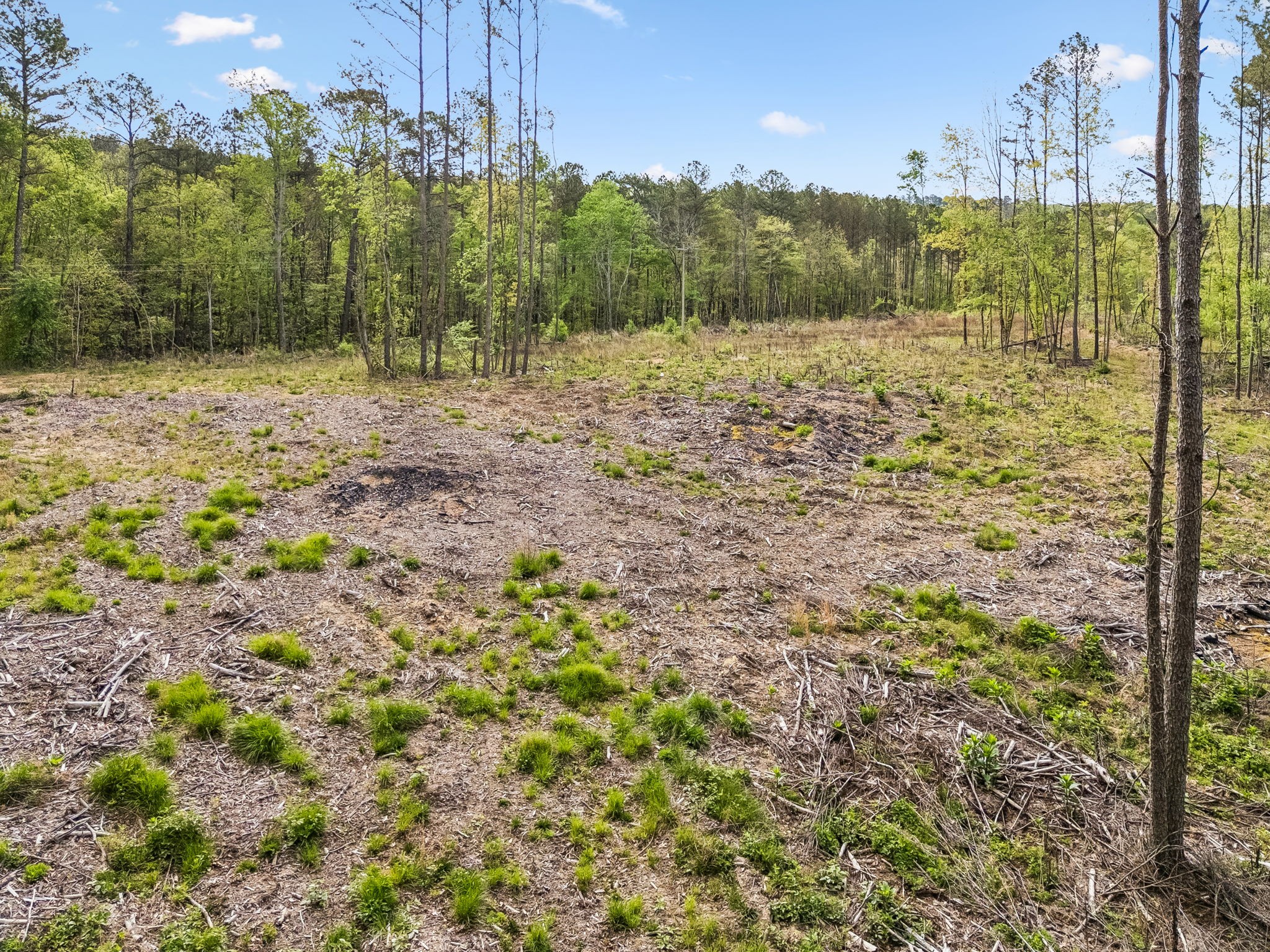 1 Pleasant Ridge Road Goodspring TN 38460