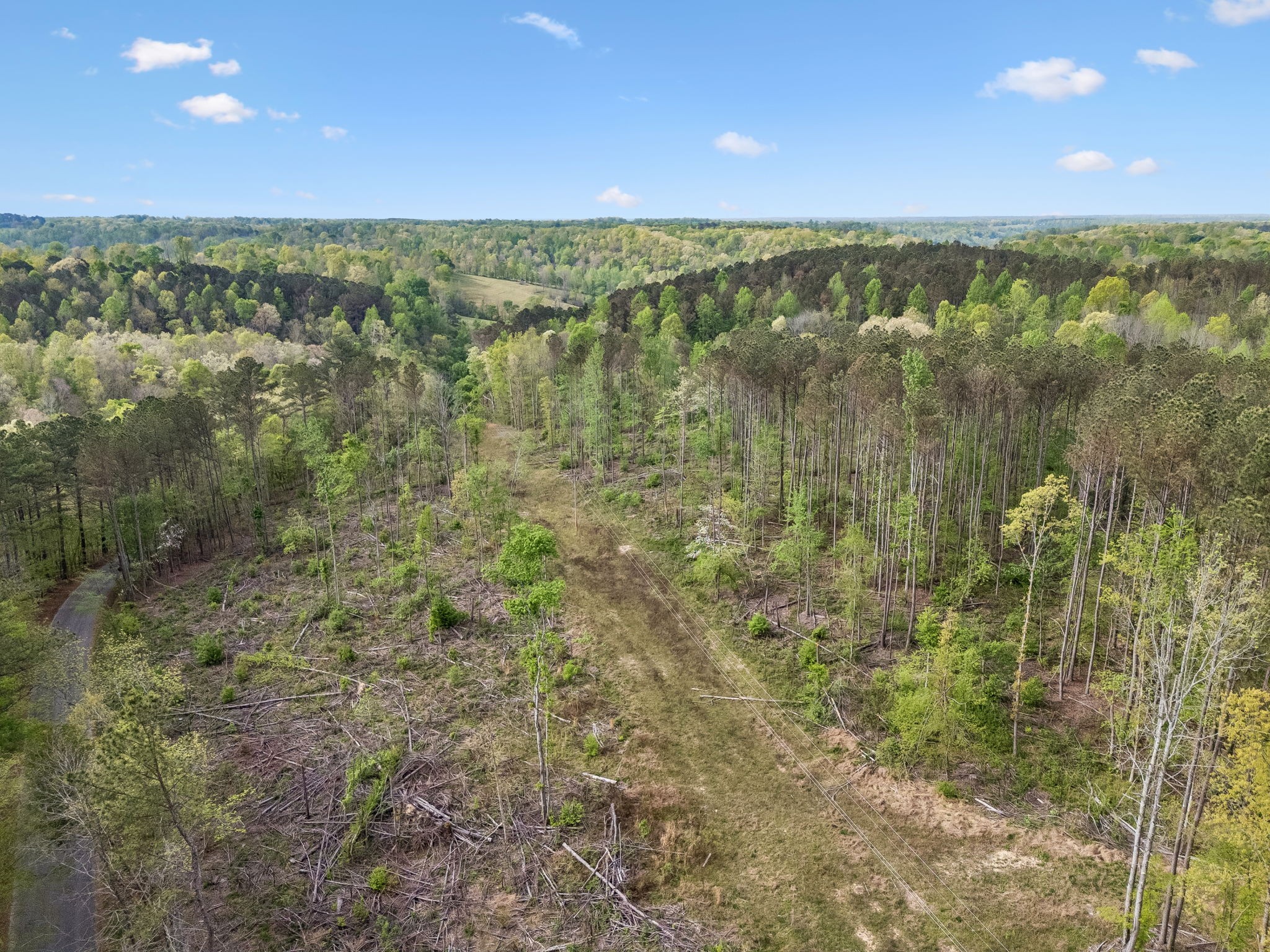 1 Pleasant Ridge Road Goodspring TN 38460