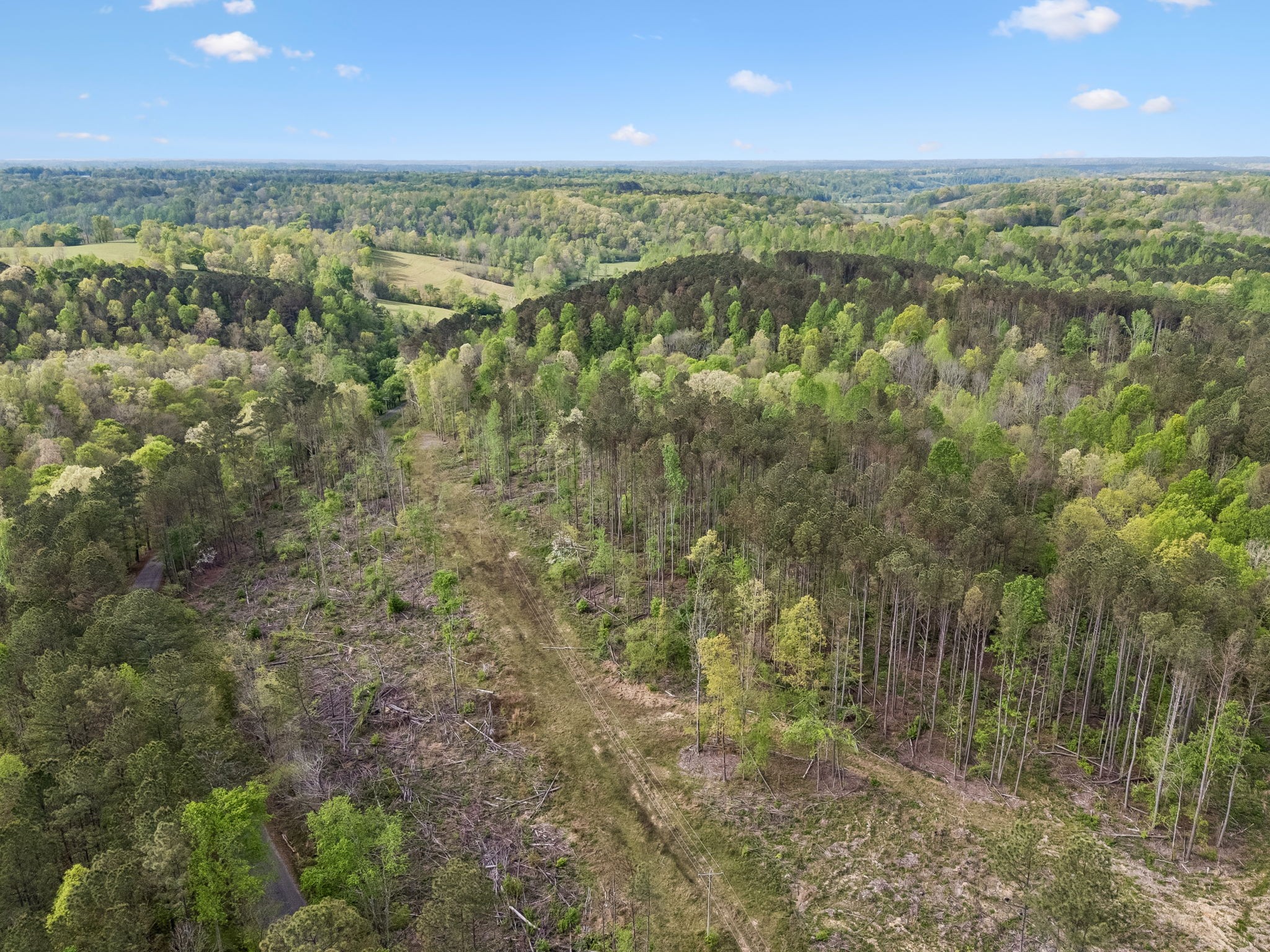 1 Pleasant Ridge Road Goodspring TN 38460