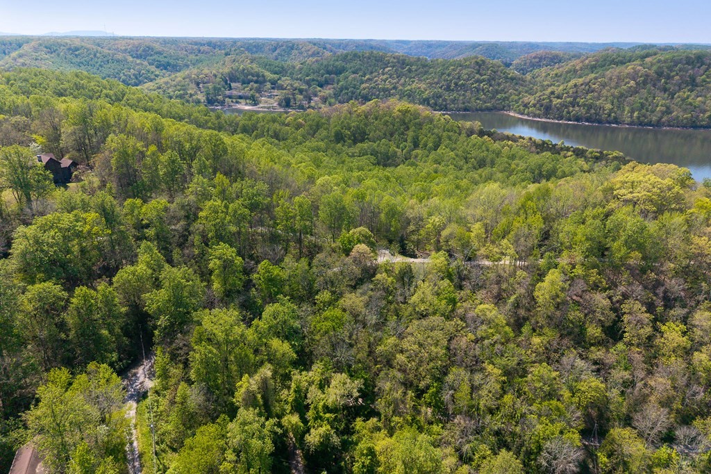 94 Austin Bottom Baxter TN 38544